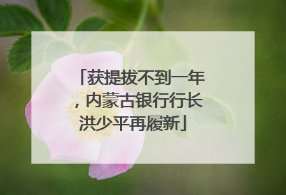 获提拔不到一年，内蒙古银行行长洪少平再履新