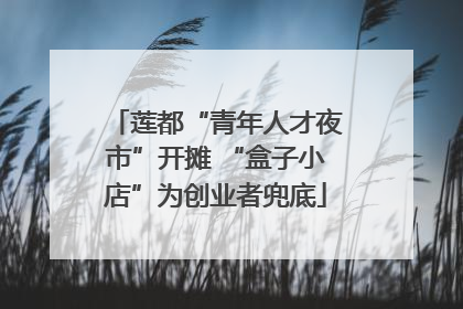 莲都“青年人才夜市”开摊 “盒子小店”为创业者兜底