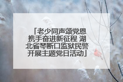 老少同声颂党恩 携手奋进新征程 湖北省琴断口监狱民警开展主题党日活动