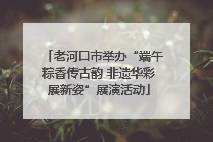 老河口市举办“端午粽香传古韵 非遗华彩展新姿”展演活动