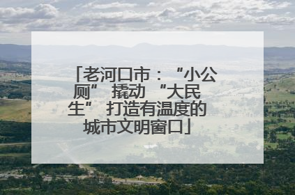 老河口市：“小公厕” 撬动 “大民生” 打造有温度的城市文明窗口