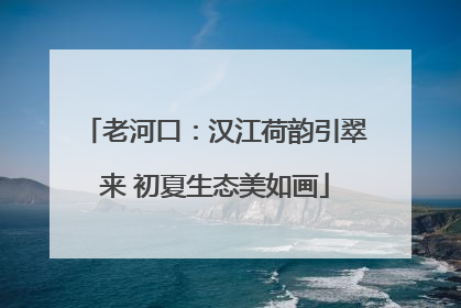 老河口：汉江荷韵引翠来 初夏生态美如画
