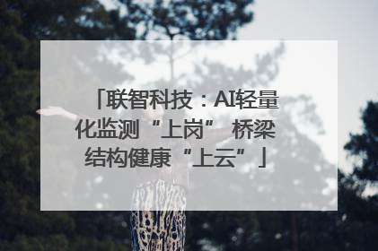 联智科技：AI轻量化监测“上岗” 桥梁结构健康“上云”