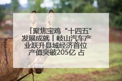 聚焦宝鸡“十四五”发展成就丨岐山汽车产业跃升县域经济首位 产值突破205亿 占规上工业75%