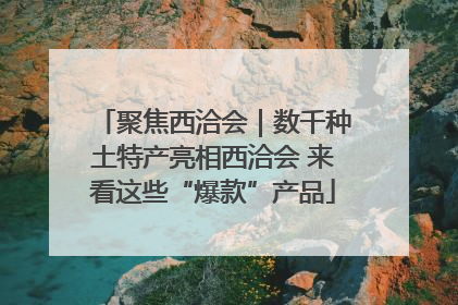 聚焦西洽会｜数千种土特产亮相西洽会 来看这些“爆款”产品