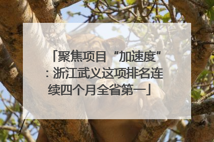 聚焦项目“加速度”：浙江武义这项排名连续四个月全省第一