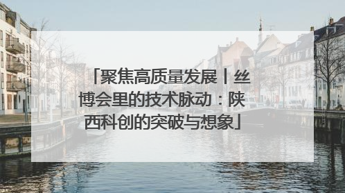 聚焦高质量发展丨丝博会里的技术脉动：陕西科创的突破与想象
