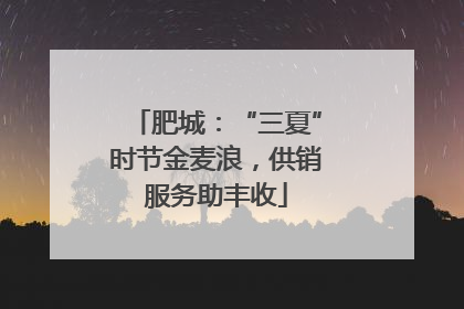 肥城：“三夏”时节金麦浪，供销服务助丰收