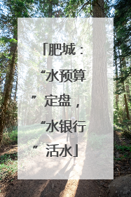肥城：“水预算”定盘，“水银行”活水