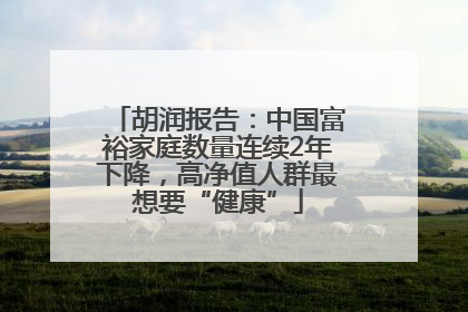 胡润报告：中国富裕家庭数量连续2年下降，高净值人群最想要“健康”