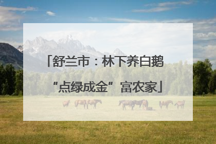舒兰市：林下养白鹅 “点绿成金”富农家