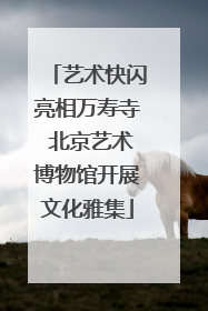 艺术快闪亮相万寿寺 北京艺术博物馆开展文化雅集