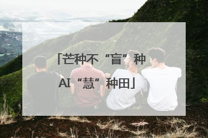 芒种不“盲”种 AI“慧”种田