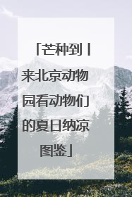 芒种到丨来北京动物园看动物们的夏日纳凉图鉴
