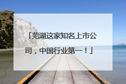 芜湖这家知名上市公司，中国行业第一！