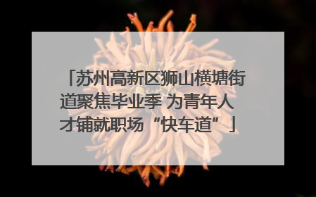 苏州高新区狮山横塘街道聚焦毕业季 为青年人才铺就职场“快车道”