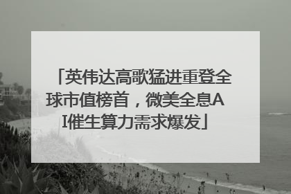 英伟达高歌猛进重登全球市值榜首，微美全息AI催生算力需求爆发