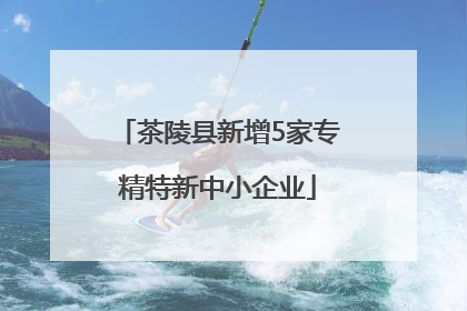 茶陵县新增5家专精特新中小企业