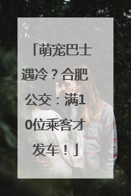 萌宠巴士遇冷？合肥公交：满10位乘客才发车！
