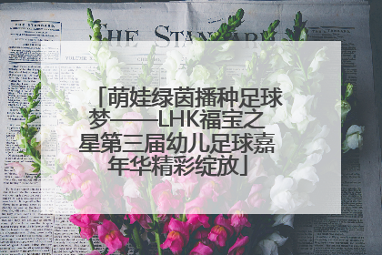 萌娃绿茵播种足球梦——LHK福宝之星第三届幼儿足球嘉年华精彩绽放