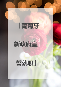 葡萄牙新政府宣誓就职