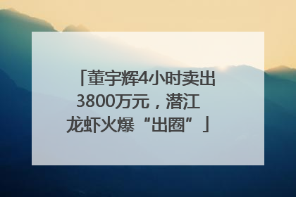 董宇辉4小时卖出3800万元，潜江龙虾火爆“出圈”