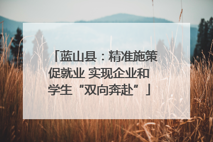 蓝山县：精准施策促就业 实现企业和学生“双向奔赴”
