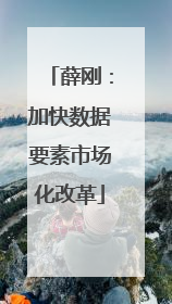 薛刚：加快数据要素市场化改革