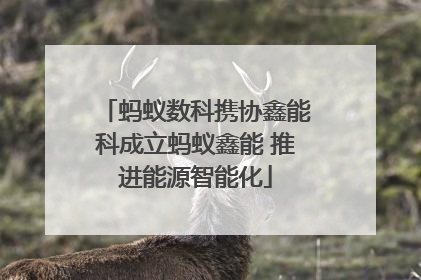 蚂蚁数科携协鑫能科成立蚂蚁鑫能 推进能源智能化