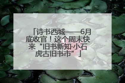 诗书西城——6月底收官！这个周末快来“旧书新知·小石虎古旧书市”