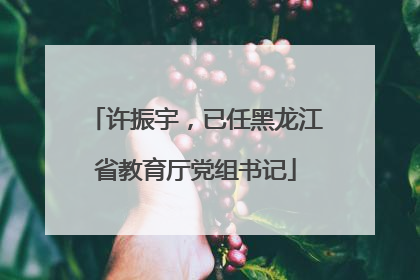 许振宇，已任黑龙江省教育厅党组书记