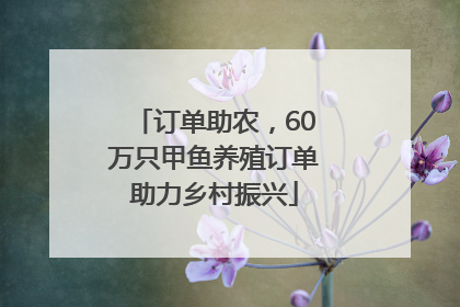 订单助农，60万只甲鱼养殖订单助力乡村振兴