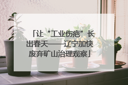 让“工业伤疤”长出春天——辽宁加快废弃矿山治理观察