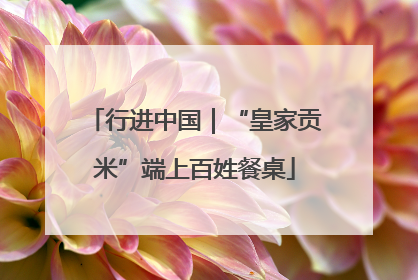 行进中国｜“皇家贡米”端上百姓餐桌