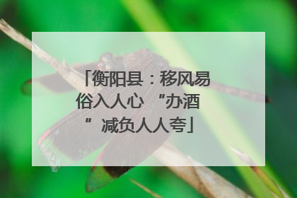 衡阳县：移风易俗入人心 “办酒”减负人人夸