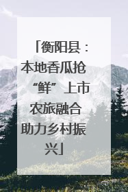 衡阳县：本地香瓜抢“鲜”上市 农旅融合助力乡村振兴