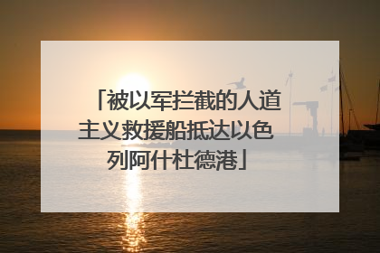 被以军拦截的人道主义救援船抵达以色列阿什杜德港