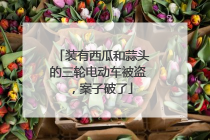 装有西瓜和蒜头的三轮电动车被盗，案子破了