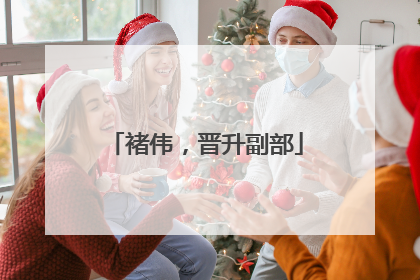 褚伟，晋升副部