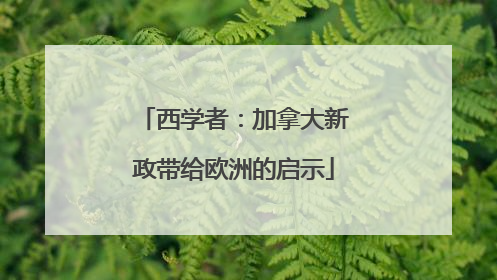 西学者：加拿大新政带给欧洲的启示