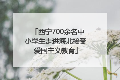 西宁700余名中小学生走进海北接受爱国主义教育