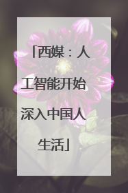 西媒：人工智能开始深入中国人生活