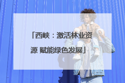 西峡：激活林业资源 赋能绿色发展