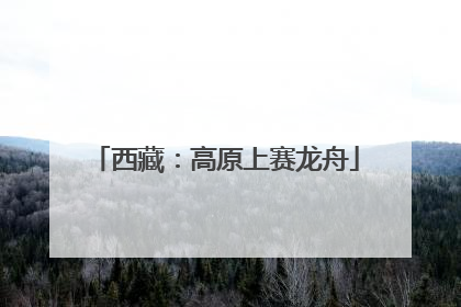 西藏：高原上赛龙舟