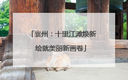 襄州：十里江滩焕新 绘就美丽新画卷