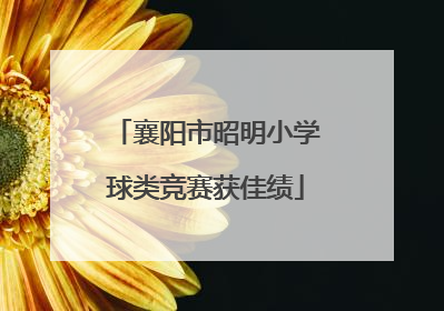 襄阳市昭明小学球类竞赛获佳绩