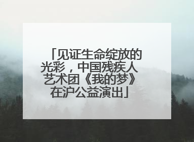 见证生命绽放的光彩，中国残疾人艺术团《我的梦》在沪公益演出