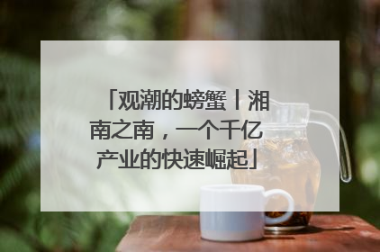观潮的螃蟹丨湘南之南，一个千亿产业的快速崛起