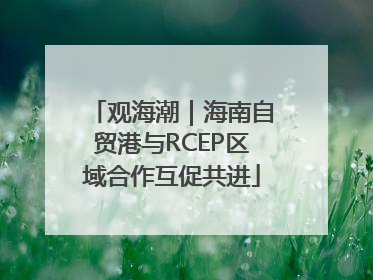 观海潮｜海南自贸港与RCEP区域合作互促共进