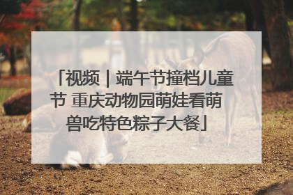 视频｜端午节撞档儿童节 重庆动物园萌娃看萌兽吃特色粽子大餐